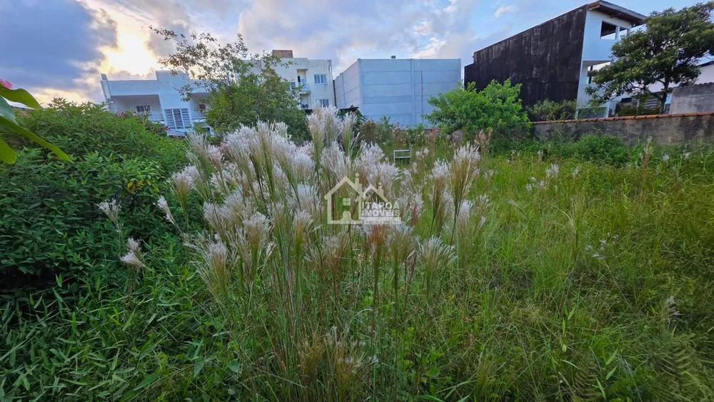 Terreno, 369 m² - Foto 6