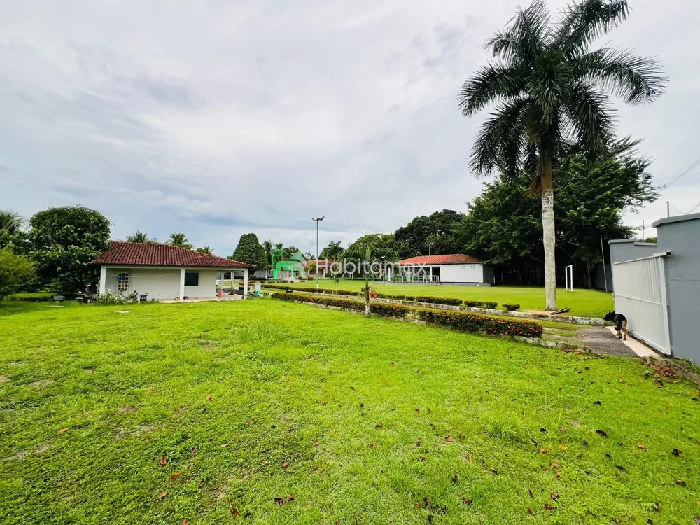 Chácara, 4 quartos, 800 m² - Foto 12