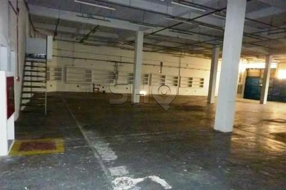 Imóvel Comercial, 2390 m² - Foto 3