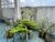 Casa, 3 quartos, 240 m² - Foto 13