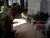 Apartamento, 1 quarto, 65 m² - Foto 1