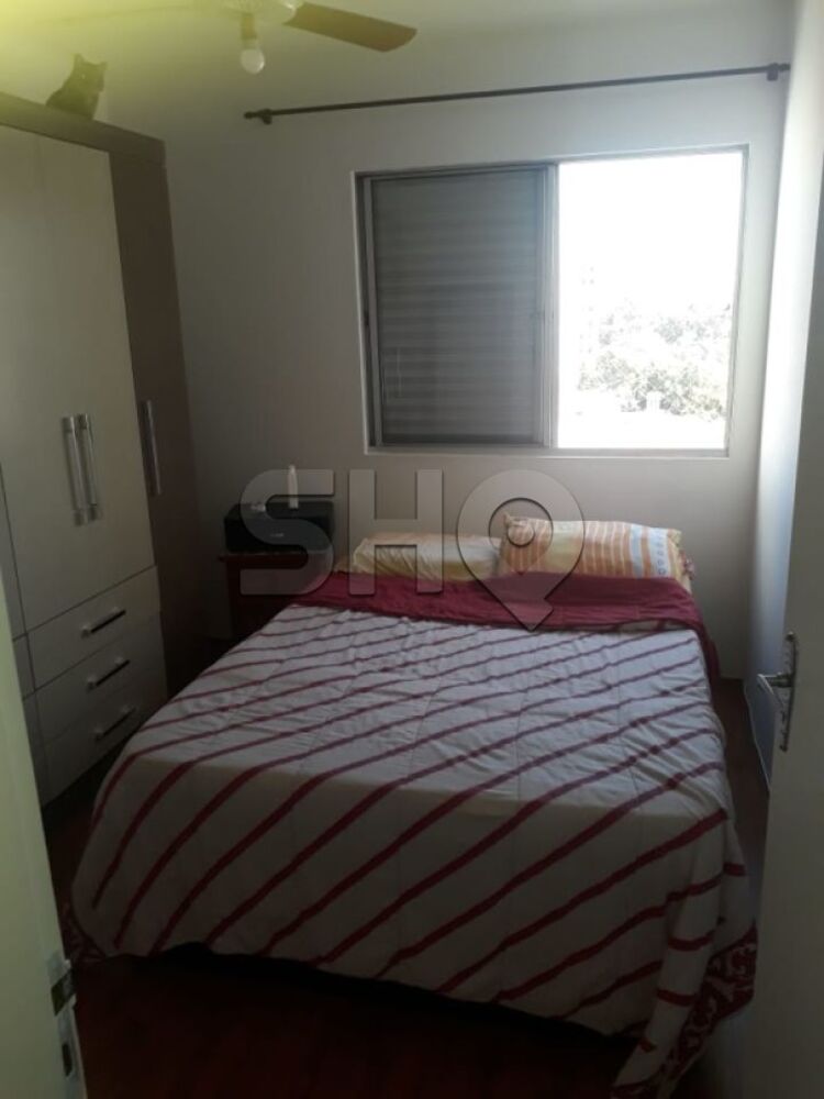 Apartamento, 3 quartos, 60 m² - Foto 2