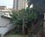 Terreno, 330 m² - Foto 3