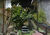 Terreno, 330 m² - Foto 4