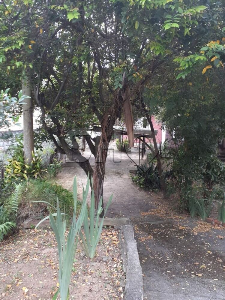 Terreno, 540 m² - Foto 5