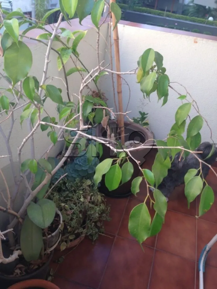 Apartamento, 1 quarto, 52 m² - Foto 3