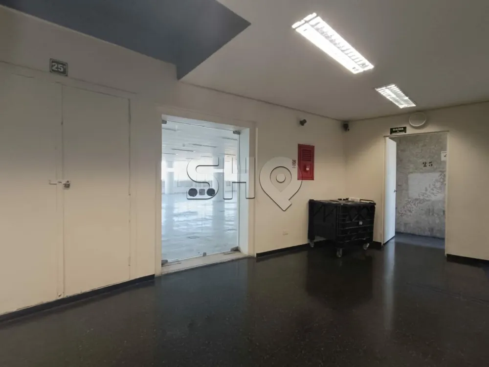 Sala-Conjunto, 960 m² - Foto 4