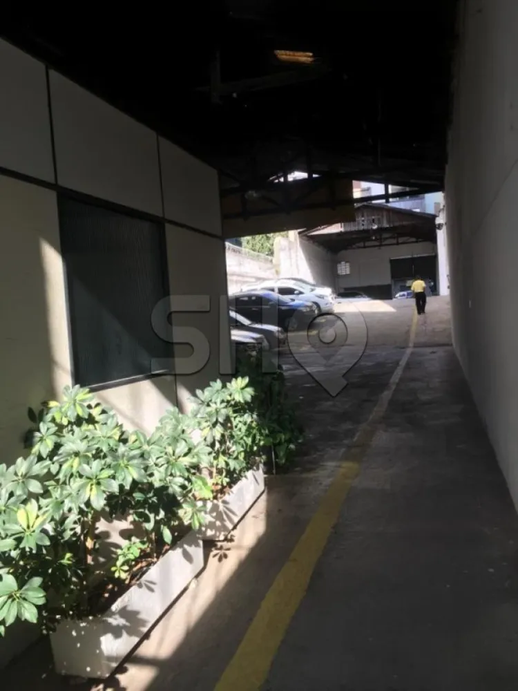 Terreno, 1170 m² - Foto 4