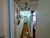 Apartamento, 3 quartos, 107 m² - Foto 5