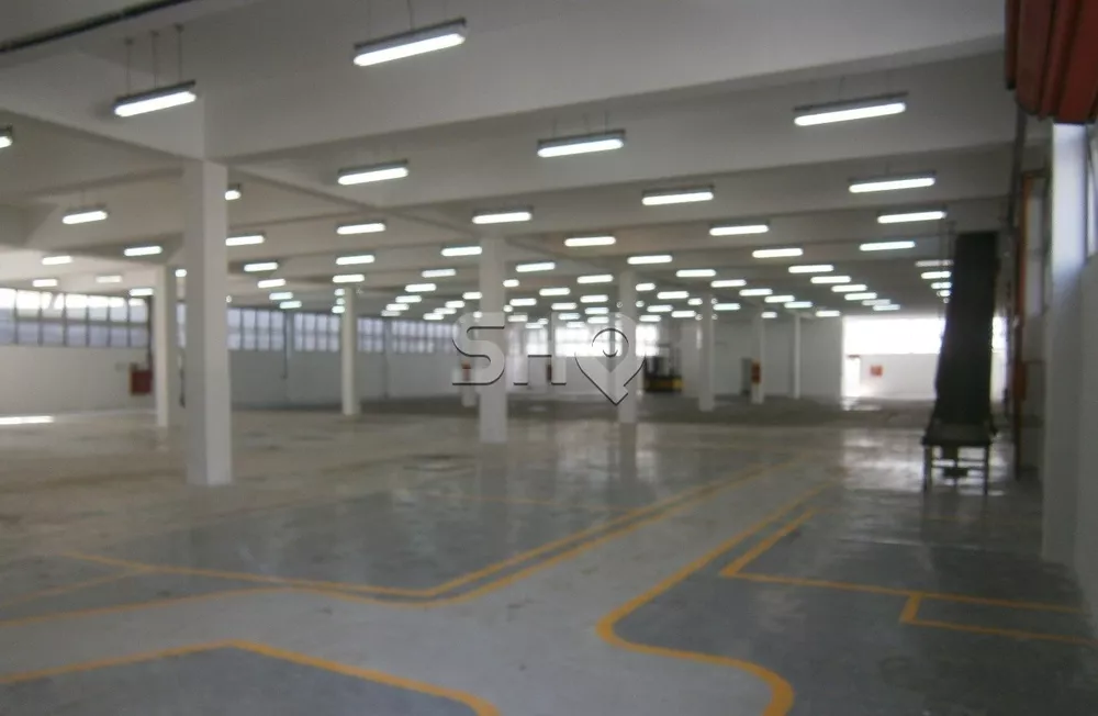 Depósito-Galpão, 5258 m² - Foto 3