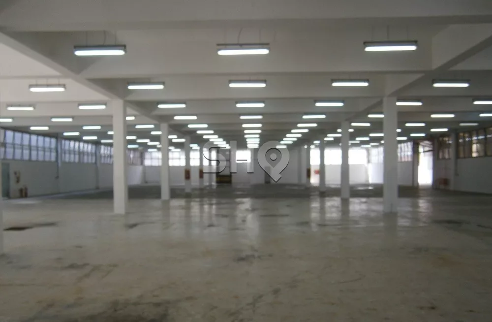 Depósito-Galpão, 5258 m² - Foto 4