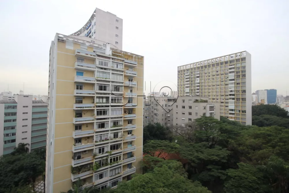Apartamento, 4 quartos, 370 m² - Foto 5