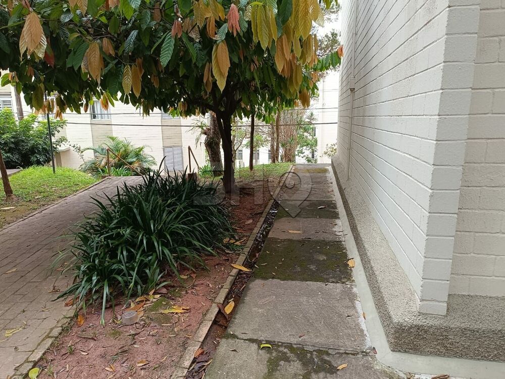 Apartamento à venda com 2 quartos, 60m² - Foto 36