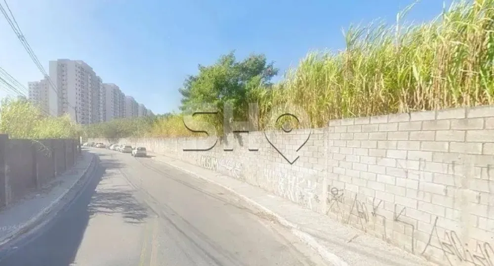 Terreno, 21 hectares - Foto 4