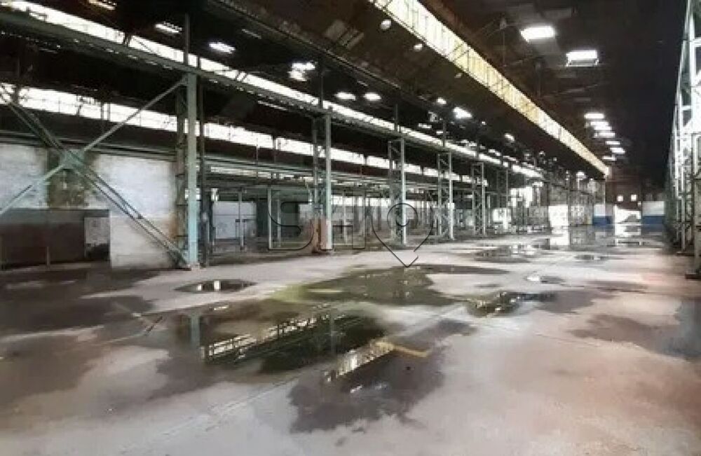 Depósito-Galpão, 5000 m² - Foto 3