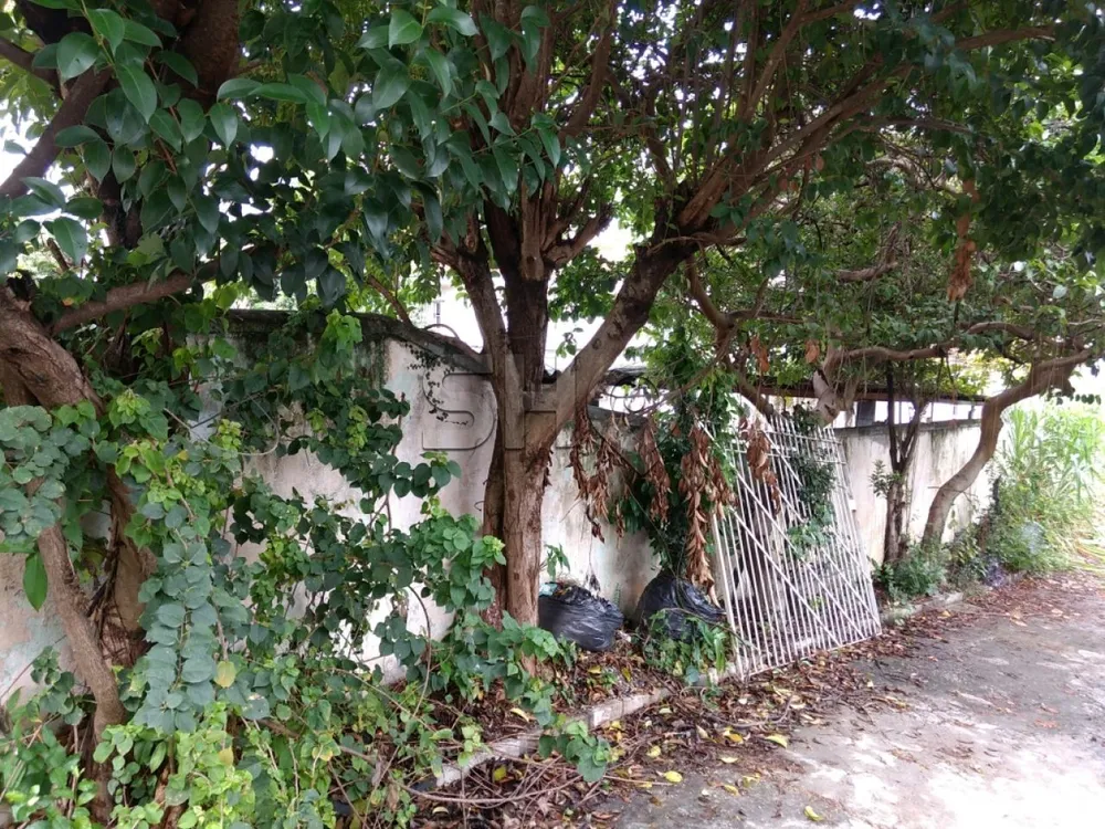 Sobrado, 4 quartos, 550 m² - Foto 5