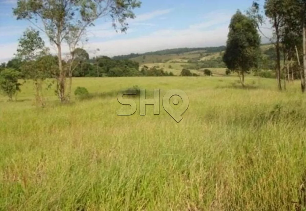 Terreno, 21 hectares - Foto 2