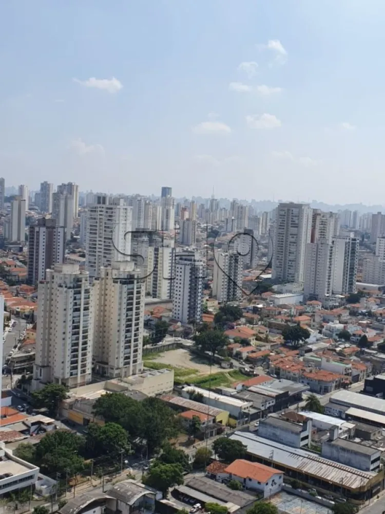 Apartamento, 3 quartos, 206 m² - Foto 14