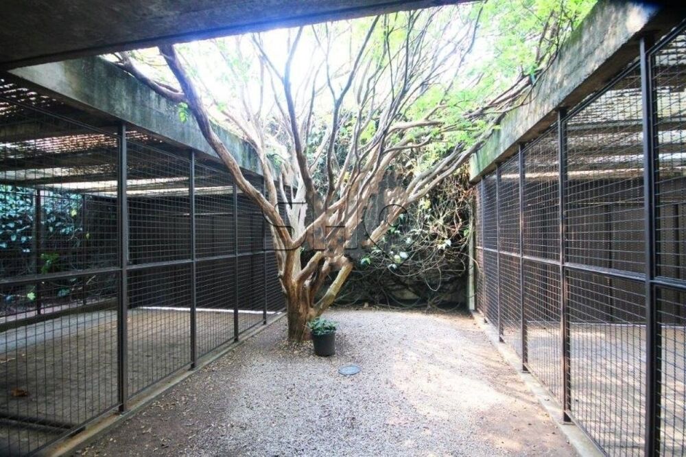 Casa, 3 quartos, 396 m² - Foto 18