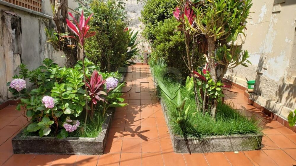 Casa, 4 quartos, 180 m² - Foto 7