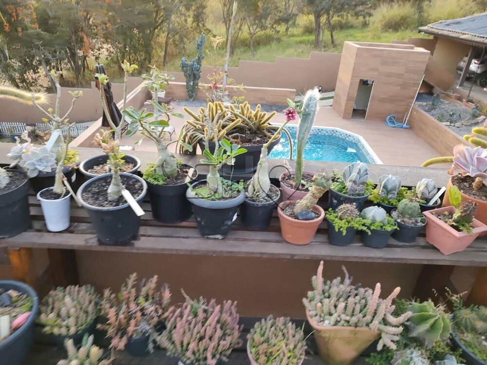 Casa de Condomínio à venda com 5 quartos, 380m² - Foto 12