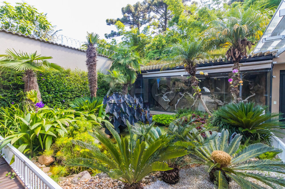 Casa, 4 quartos, 780 m² - Foto 4