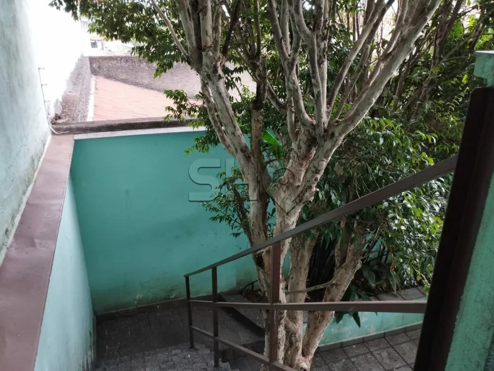 Casa, 5 quartos, 250 m² - Foto 7
