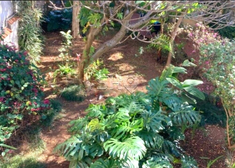 Casa, 4 quartos, 235 m² - Foto 5