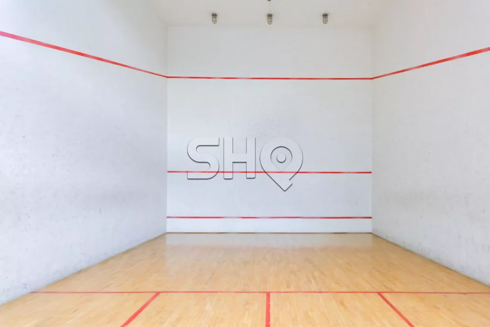Apartamento, 4 quartos, 260 m² - Foto 43