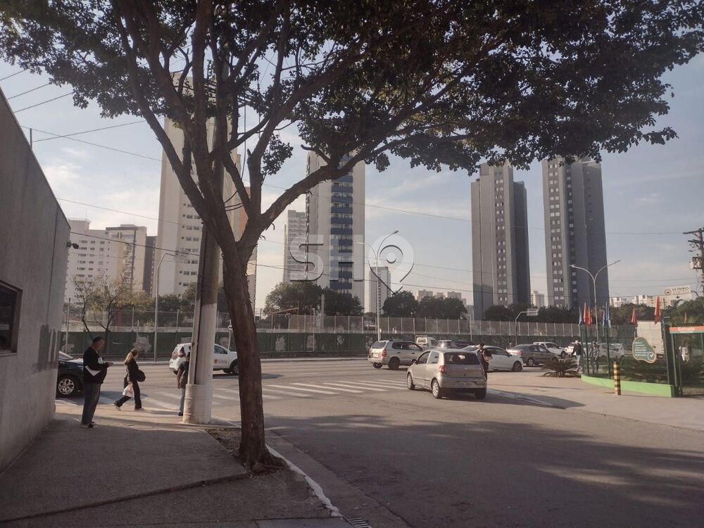 Terreno, 1426 m² - Foto 10