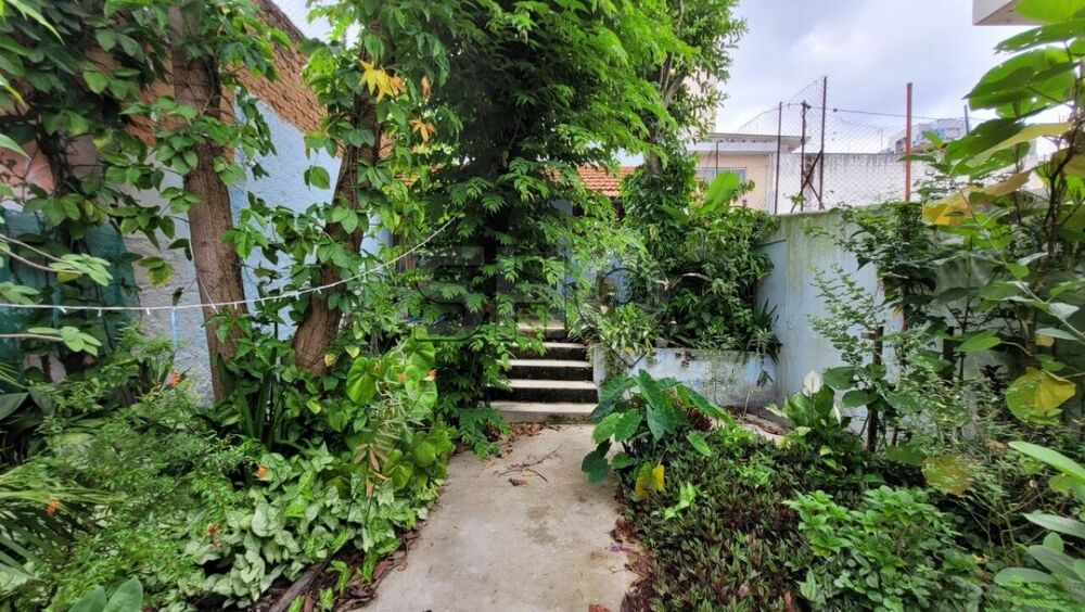 Casa, 6 quartos, 300 m² - Foto 7