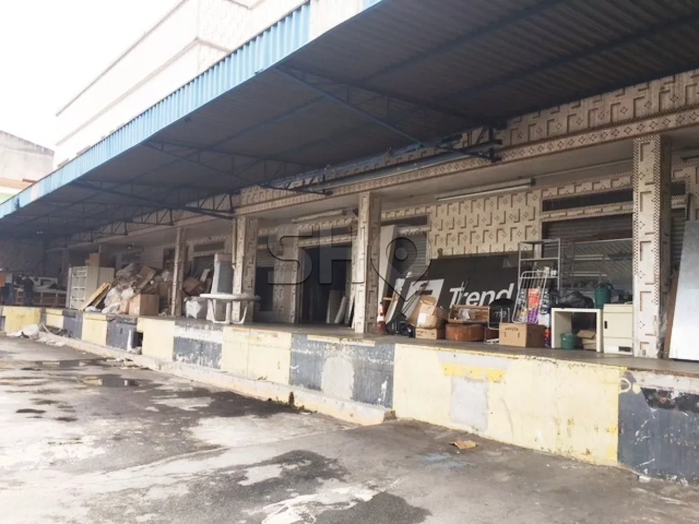 Imóvel Comercial, 3600 m² - Foto 4