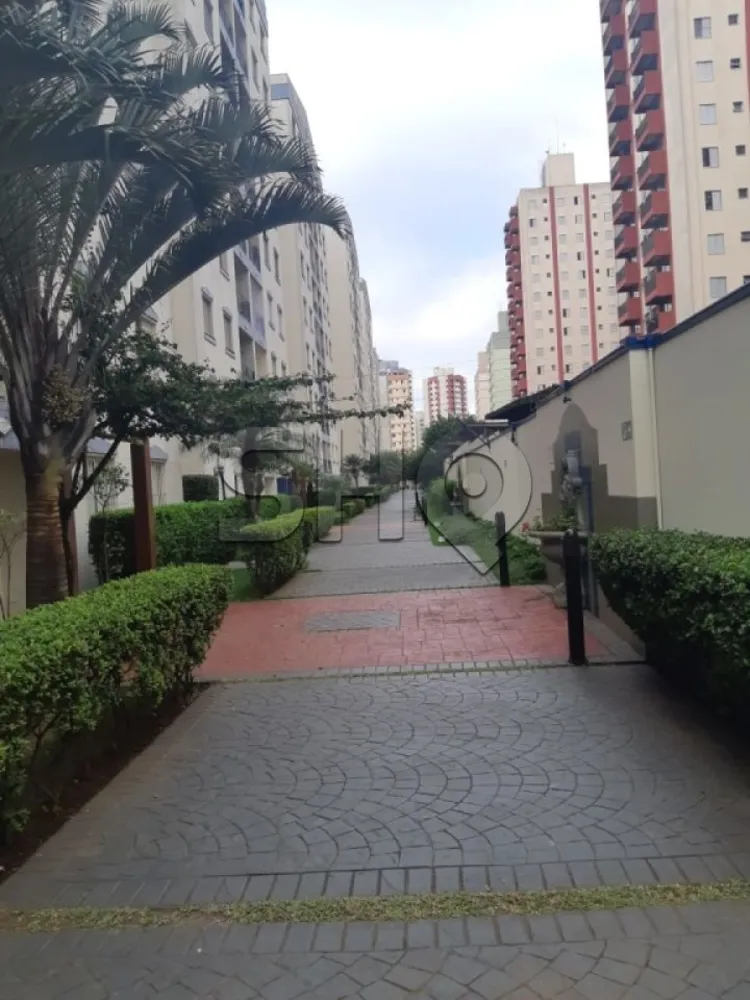 Apartamento, 3 quartos, 69 m² - Foto 1