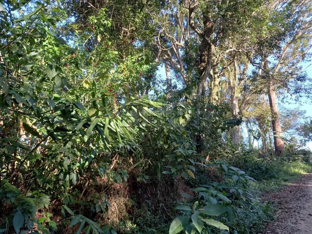 Terreno, 5000 m² - Foto 2