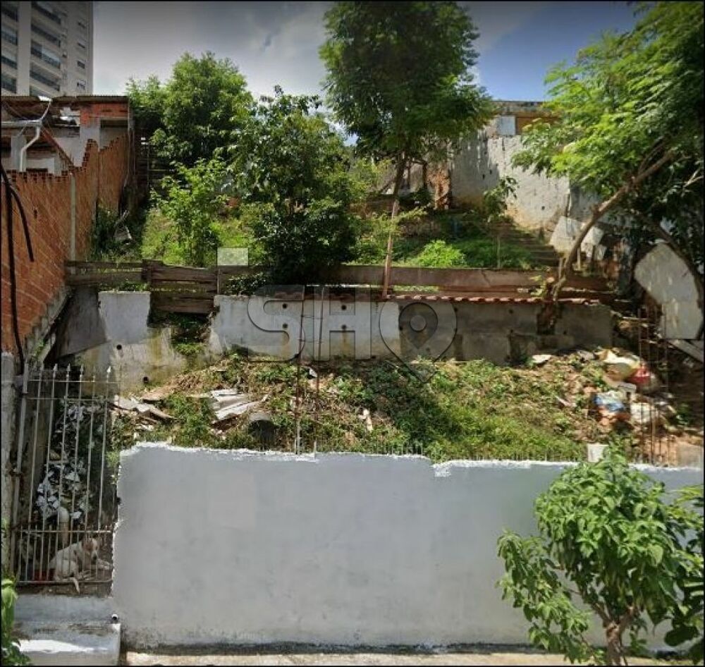 Terreno à venda, 250 - Foto 3