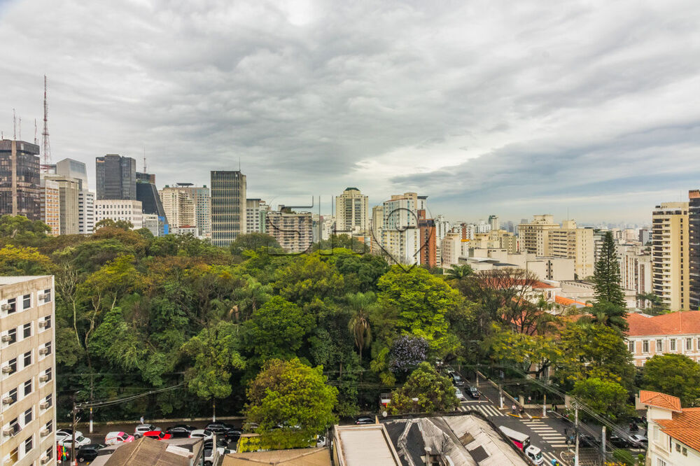 Apartamento, 3 quartos, 228 m² - Foto 20