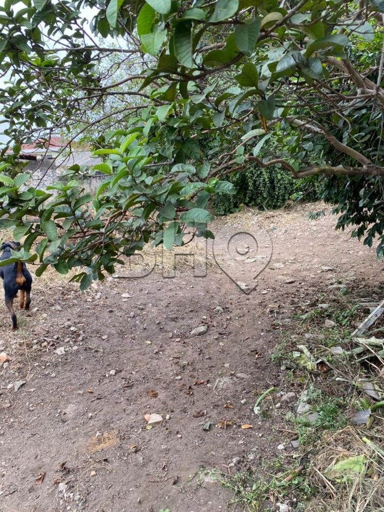 Terreno, 690 m² - Foto 4