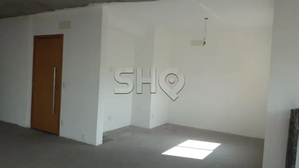 Cobertura, 3 quartos, 306 m² - Foto 5