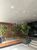 Apartamento, 1 quarto, 27 m² - Foto 11