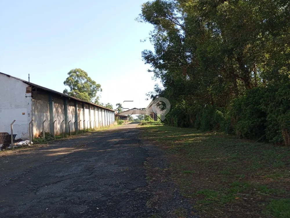 Terreno, 9400 hectares - Foto 10