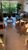Apartamento, 4 quartos, 240 m² - Foto 1