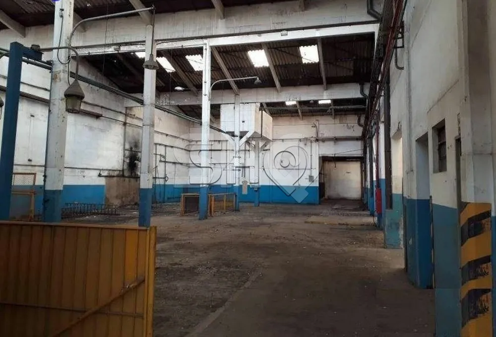 Imóvel Comercial, 10977 m² - Foto 2
