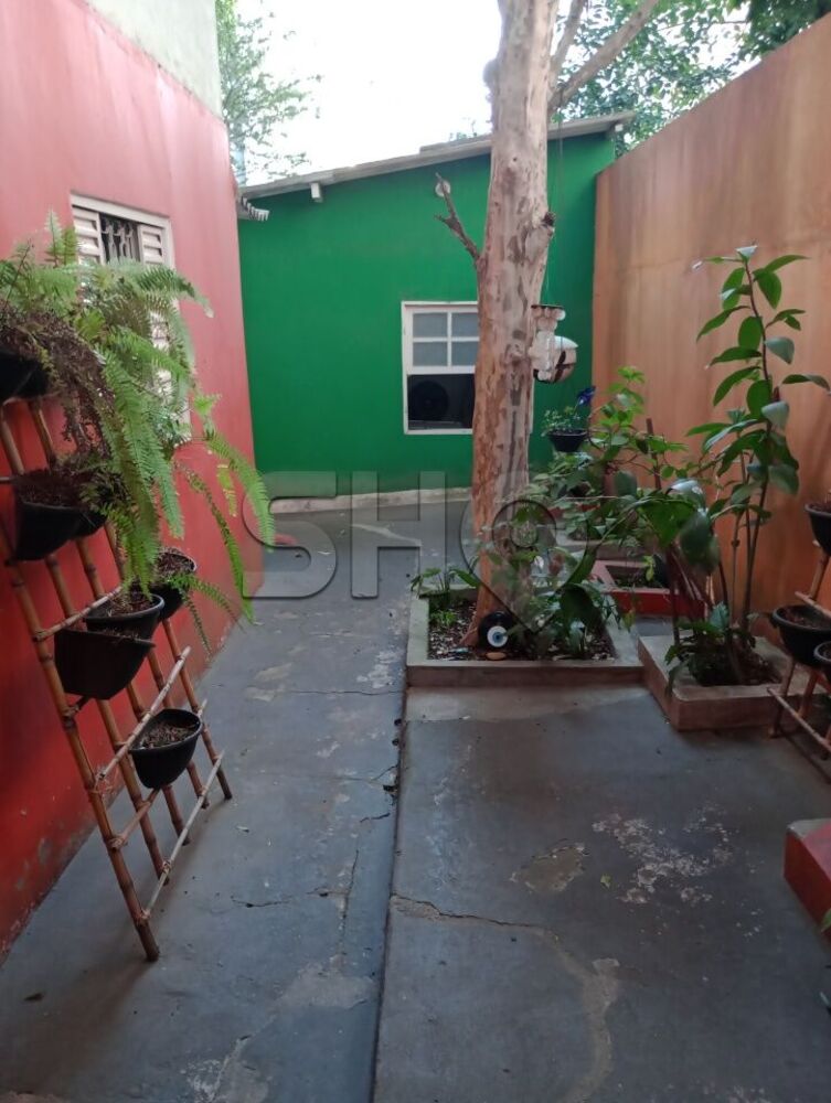 Loja-Salão, 310 m² - Foto 3