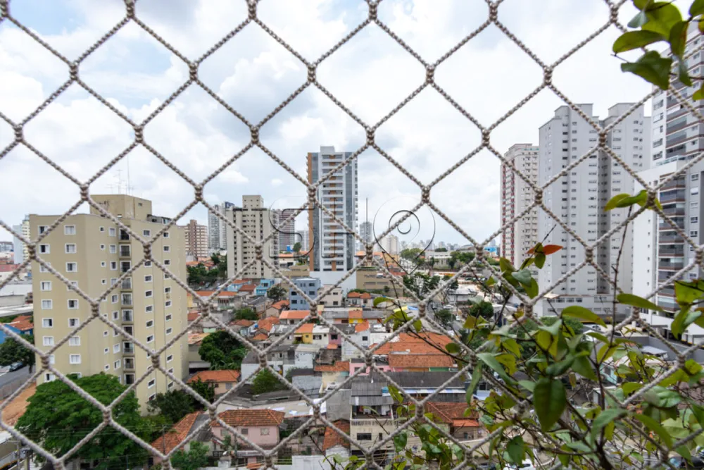 Cobertura, 3 quartos, 146 m² - Foto 3