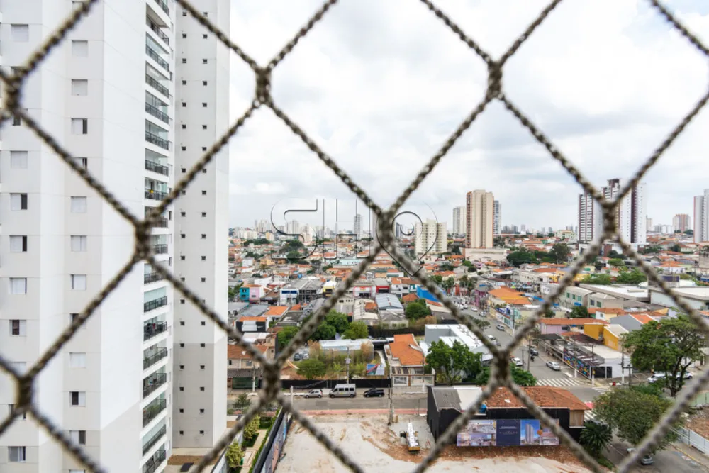 Cobertura, 3 quartos, 146 m² - Foto 4