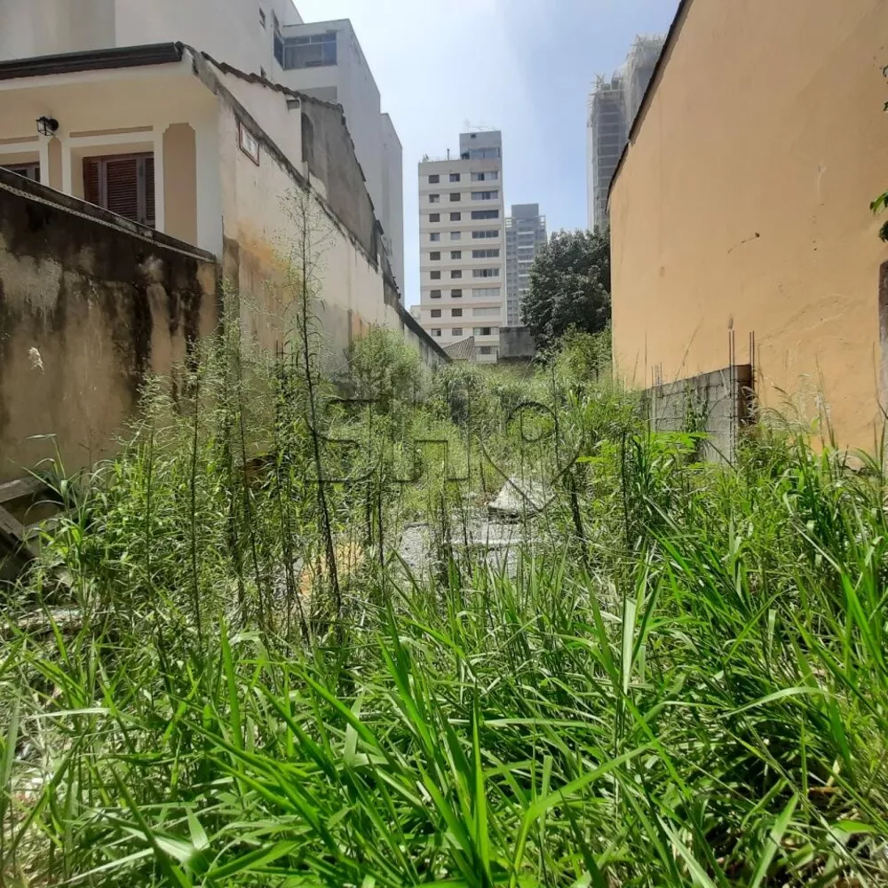 Terreno à venda, 300m² - Foto 2