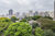Apartamento, 1 quarto, 31 m² - Foto 3