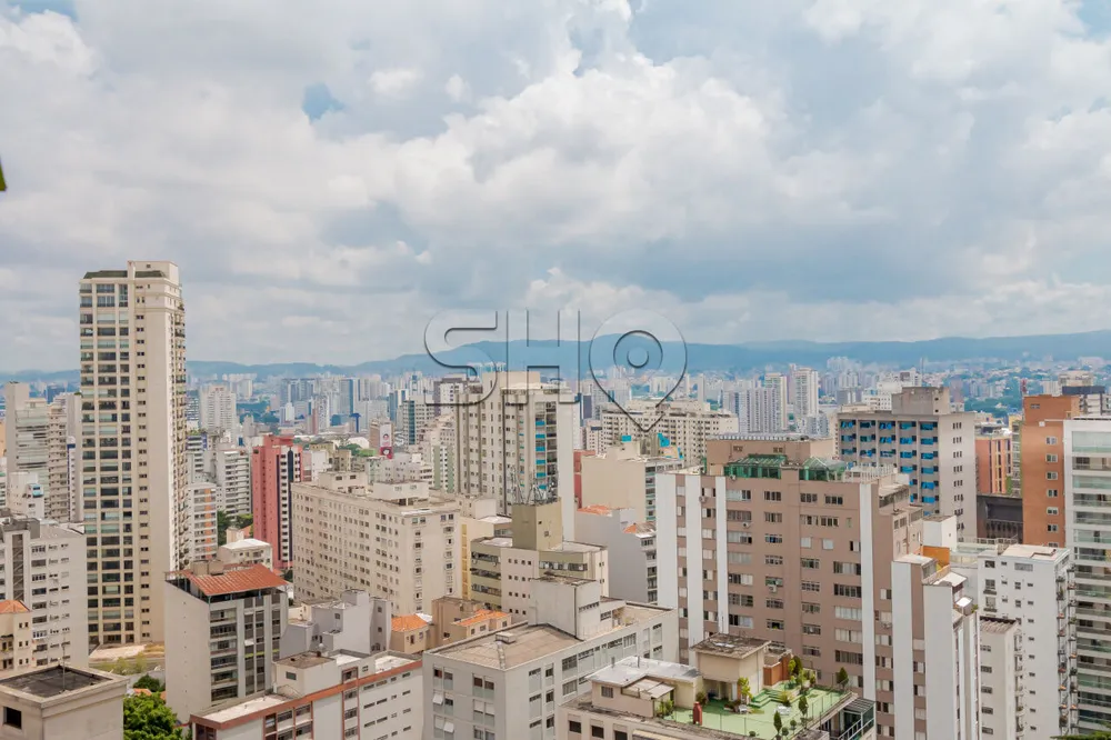 Apartamento, 4 quartos, 300 m² - Foto 5