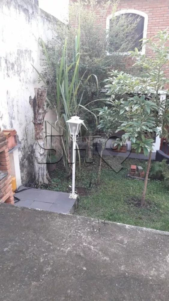 Terreno - Foto 2
