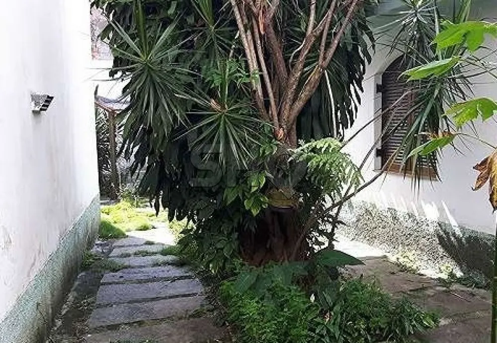 Sobrado, 4 quartos, 421 m² - Foto 4